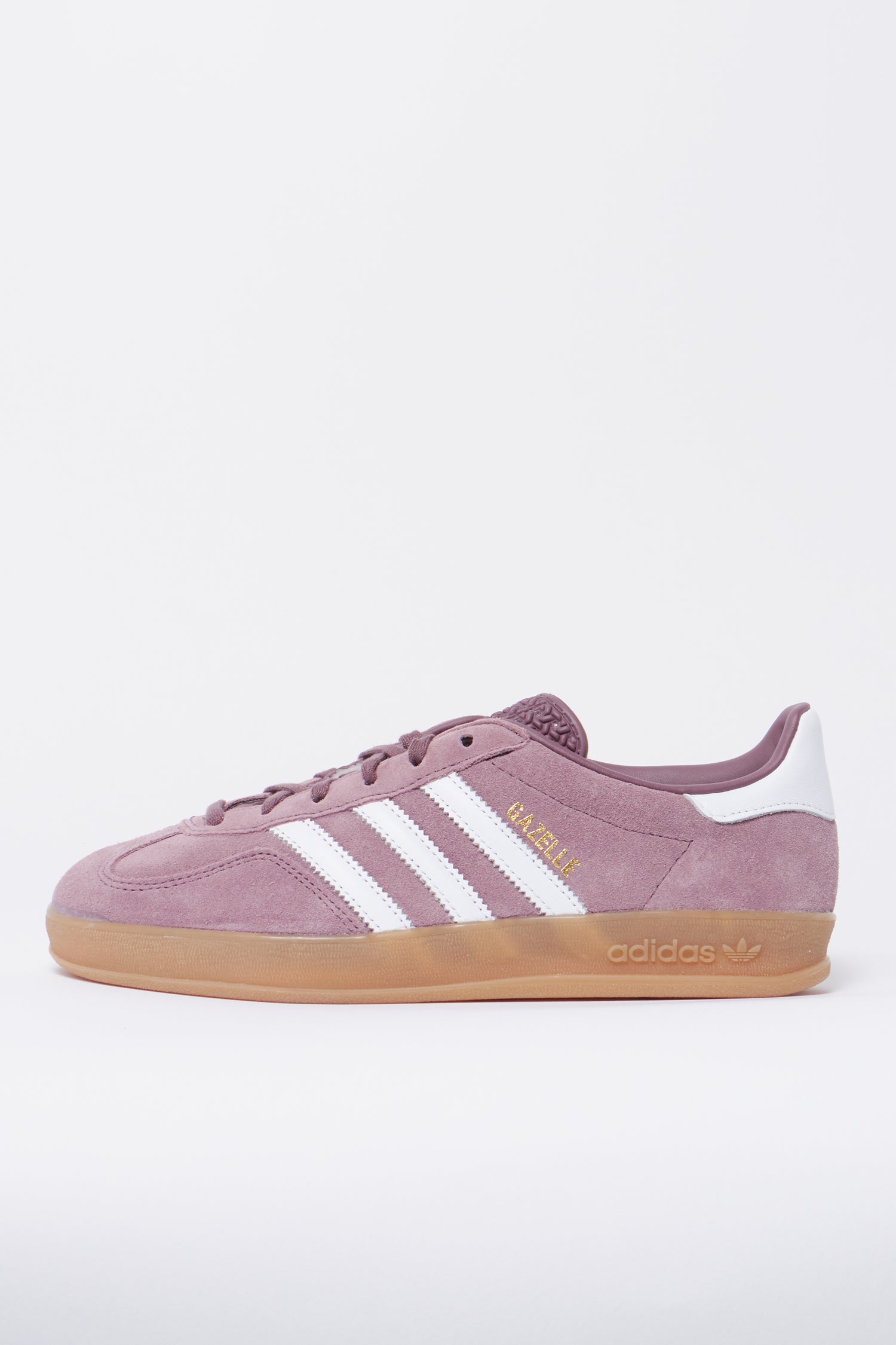 Gazelle Indoor