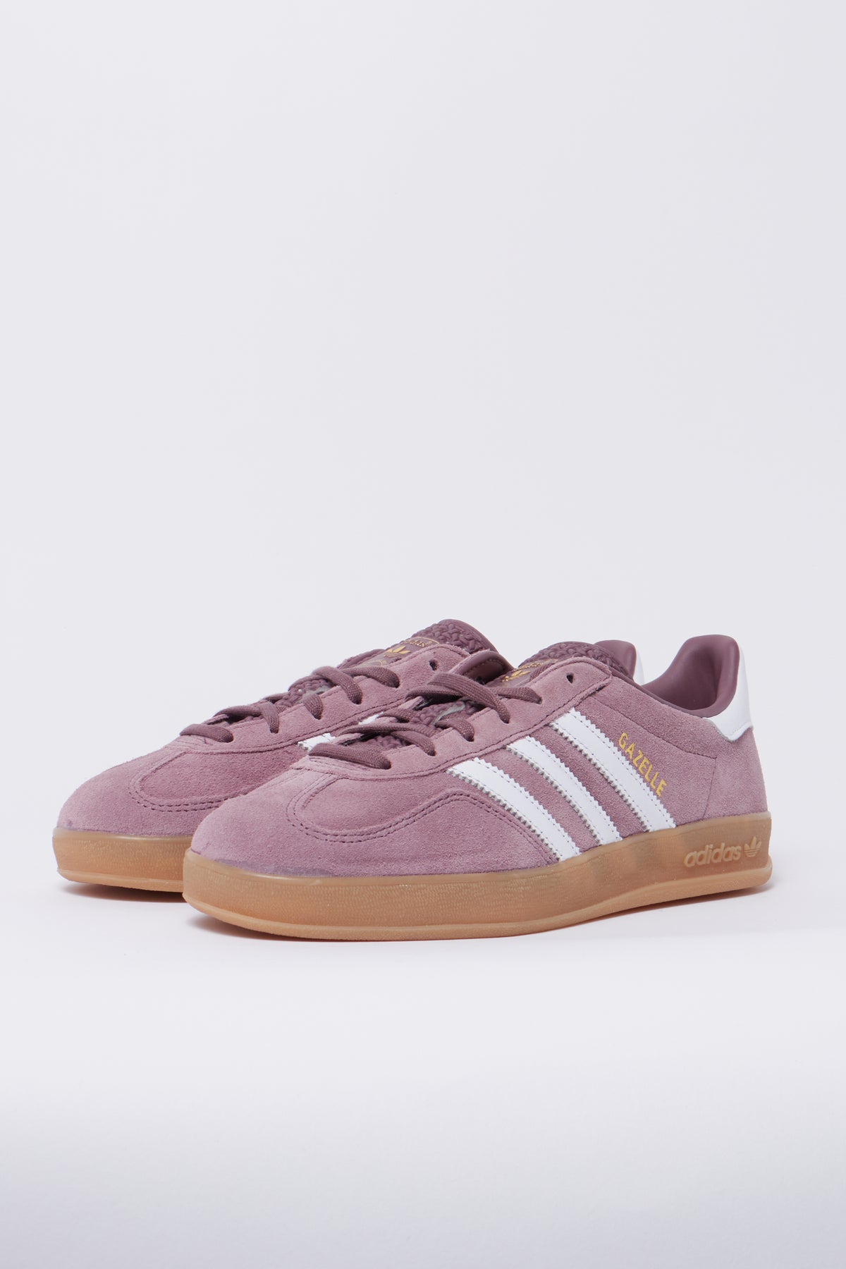 Gazelle Indoor