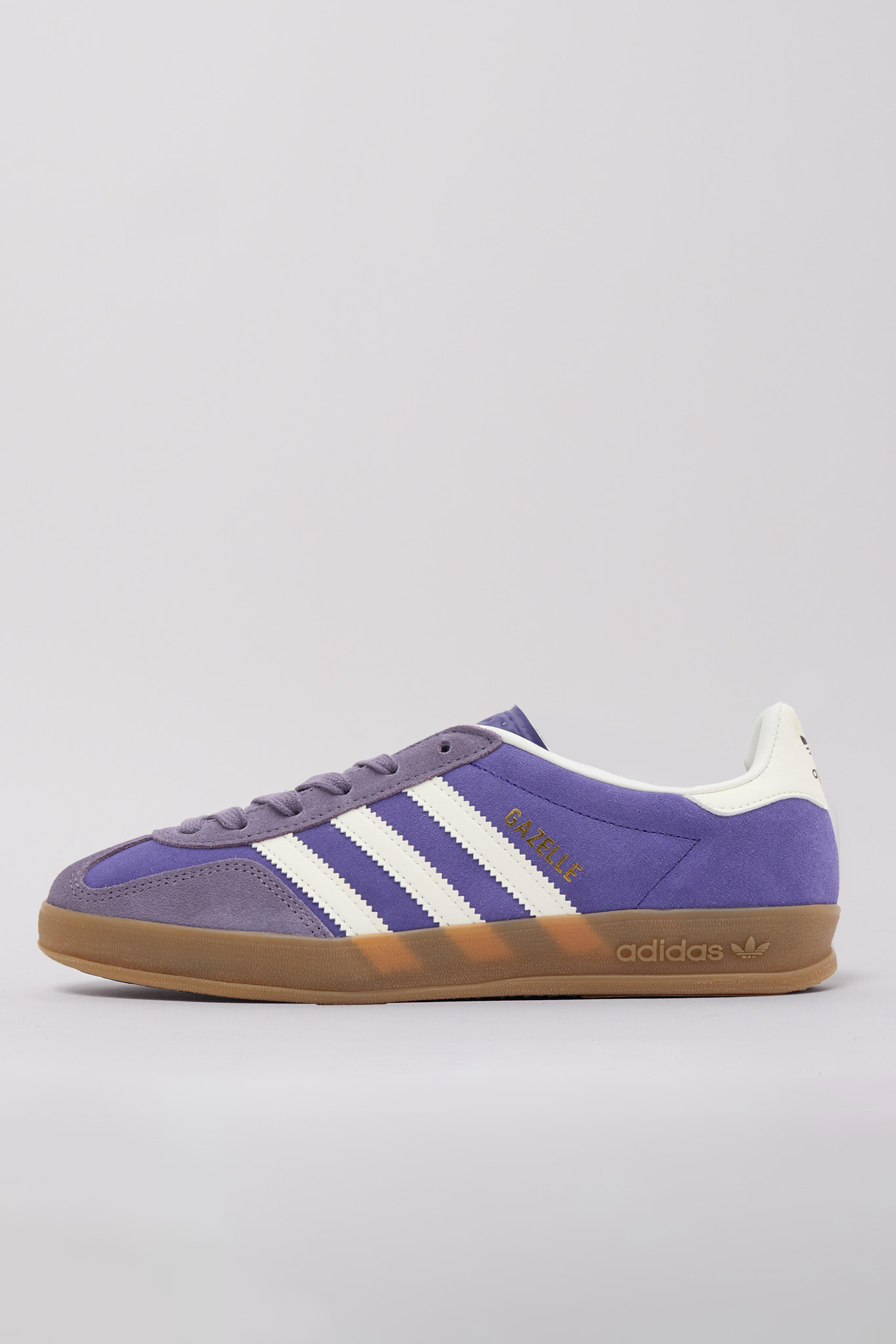 Gazelle Indoor